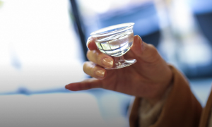庄内の日本酒