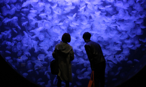 加茂水族館